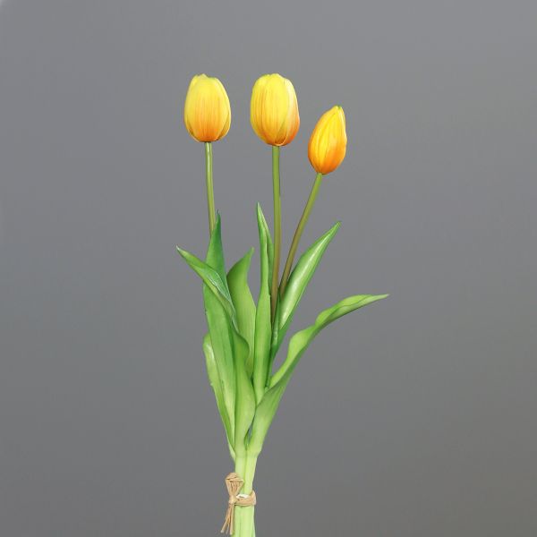 Tulpenbund dark-yellow