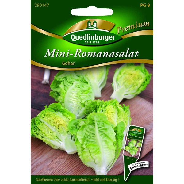 Quedlinburger Saatgut Mini-Romanasalat Gohar - 290147