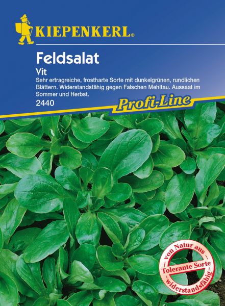Kiepenkerl Feldsalat (Rapunzel) Vit