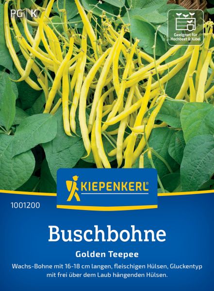 Kiepenkerl Buschbohnensamen Golden Teepee