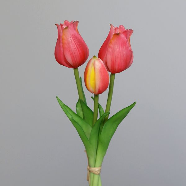 Tulpenbund rosé-pink