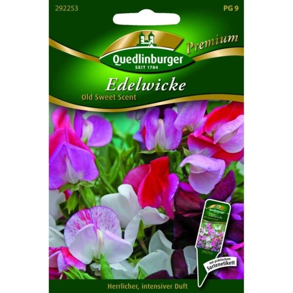 Quedlinburger Saatgut Edelwicke Old Sweet Scent - 292253