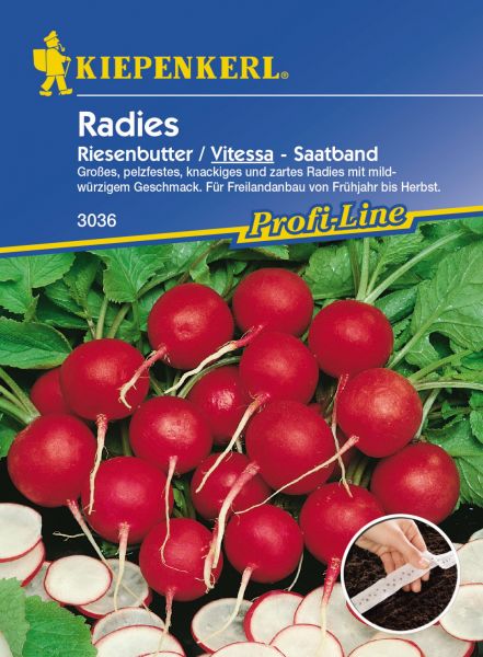 Kiepenkerl Radies Riesenbutter / Vitessa - Saatband