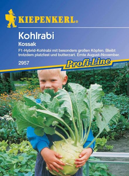 Kiepenkerl Kohlrabi Kossak