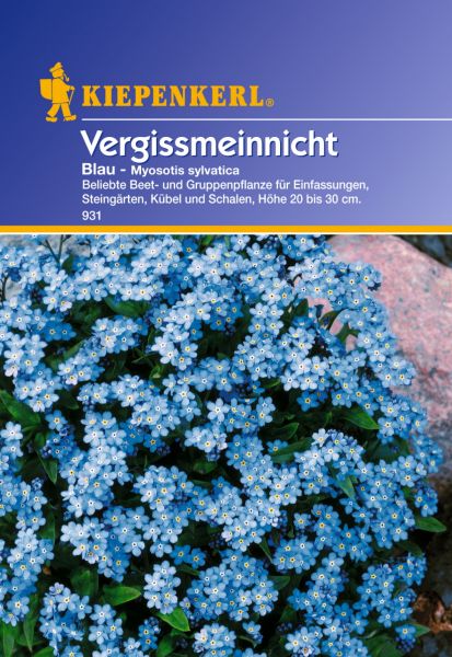 Kiepenkerl Vergissmeinnicht Blau - Myosotis sylvatica