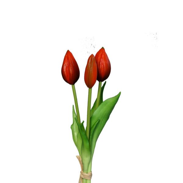 Tulpenbund x 3, 24 cm, red