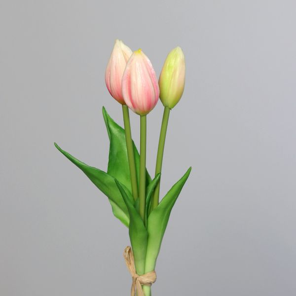Tulpenbund rosé