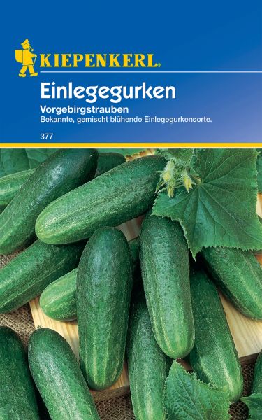 Kiepenkerl Einlegegurken Vorgebirgstrauben