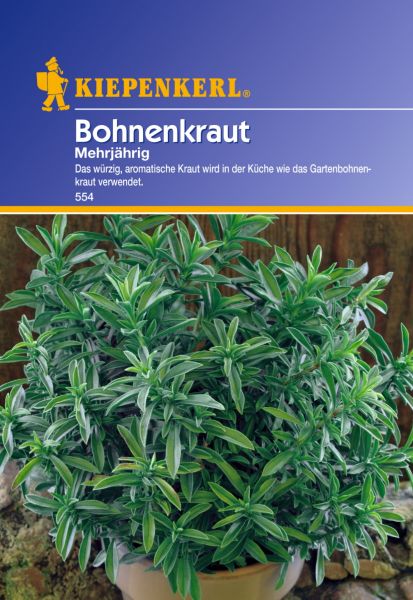 Kiepenkerl Bohnenkraut Mehrjährig