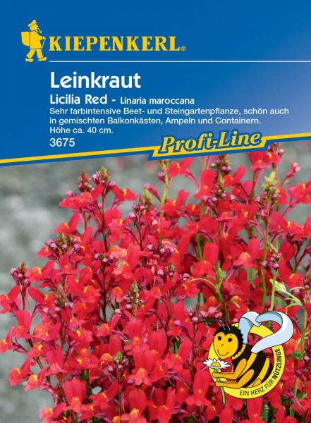 Kiepenkerl Leinkraut Licilia Red - Linaria maroccana