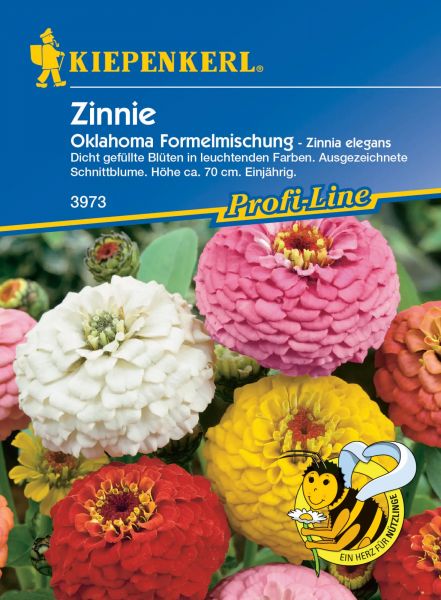 Kiepenkerl Zinnie Oklahoma Formelmischung - Zinnia elegans