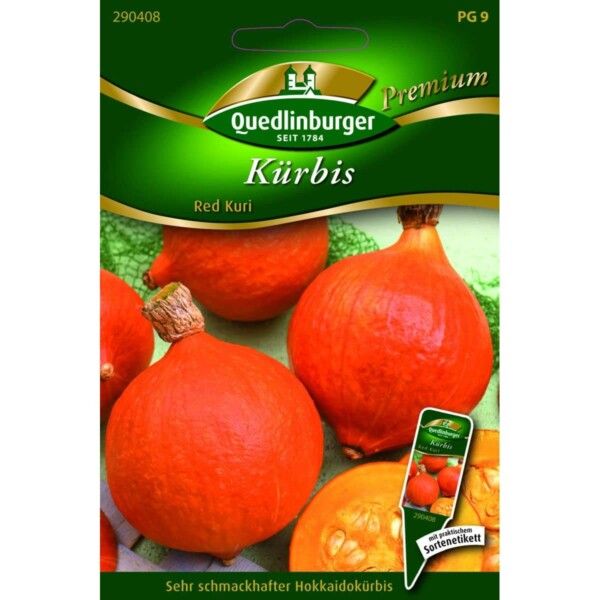 Quedlinburger Saatgut Kürbis Red Kuri Samen - 290408