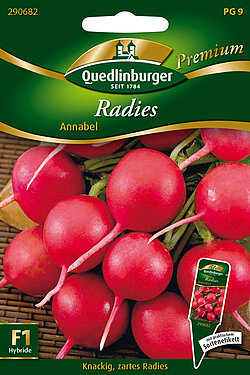 Quedlinburger Saatgut Radies Annabel - 290682
