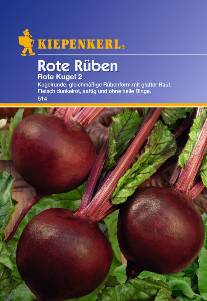 Kiepenkerl Rote Rüben Rote Kugel 2
