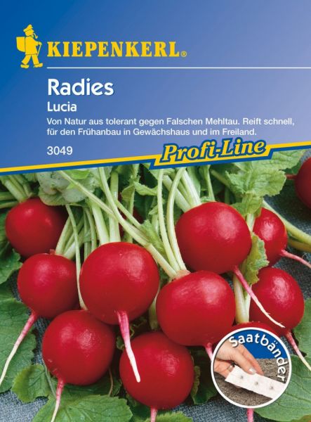 Kiepenkerl Radies Lucia - Saatband