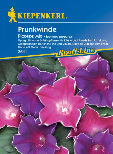 Kiepenkerl Prunkwinde Picotee Mix - Ipomoea purpurea