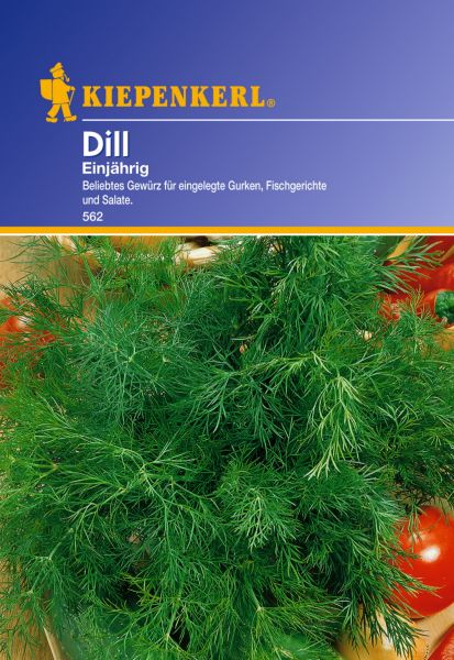 Kiepenkerl Dill Einjährig