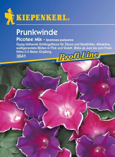 Kiepenkerl Prunkwinde Picotee Mix - Ipomoea purpurea