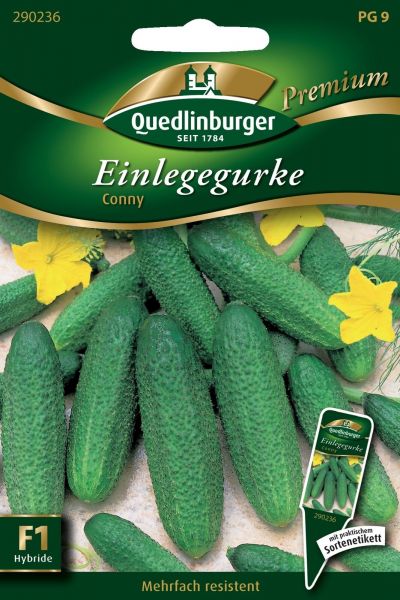 Quedlinburger Saatgut Einlegegurke Conny F1 290236