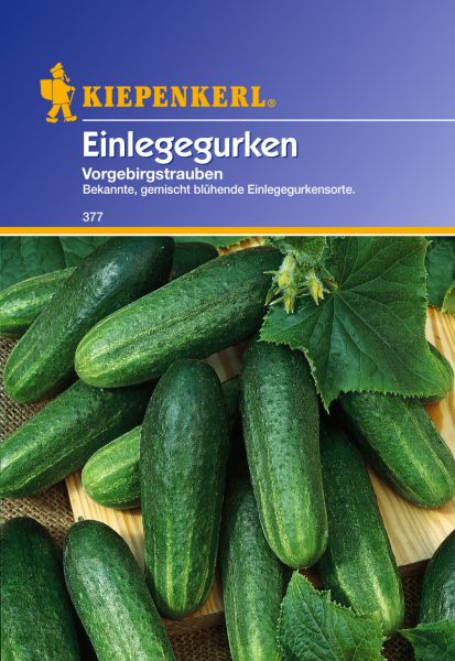 Kiepenkerl Einlegegurken Vorgebirgstrauben