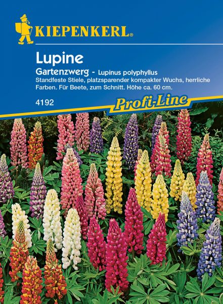 Kiepenkerl Lupine - Gartenzwerge - Lupinus polyphyllus