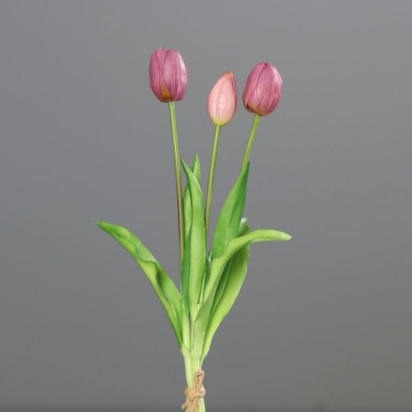 Tulpenbund light-pink
