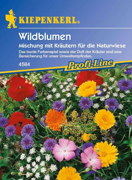 Kiepenkerl Wildblumen Mischung mit Kräutern für die Naturwiese