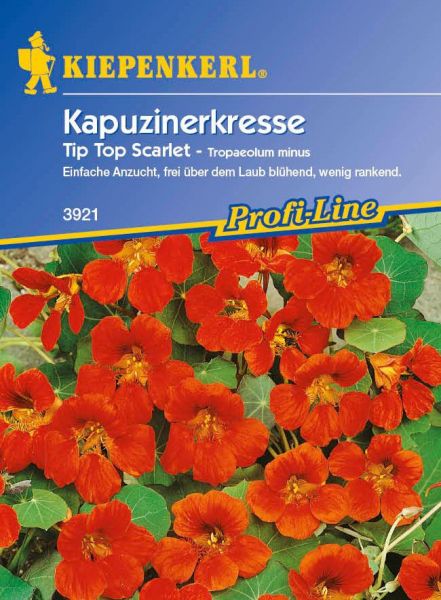Kiepenkerl Kapuzinerkresse Tip Top Scarlet - Tropaeolum minus