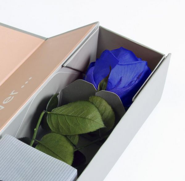 Trendline Haltbare dunkelblaue Rose in einer sehr eleganten Box (55 cm)