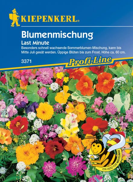 Kiepenkerl Blumenmischung Last Minute