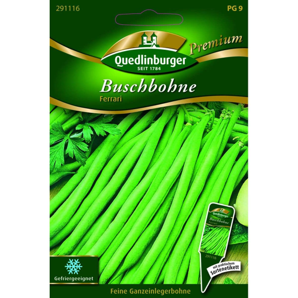 Quedlinburger Saatgut Buschbohne Ferrari - 291116
