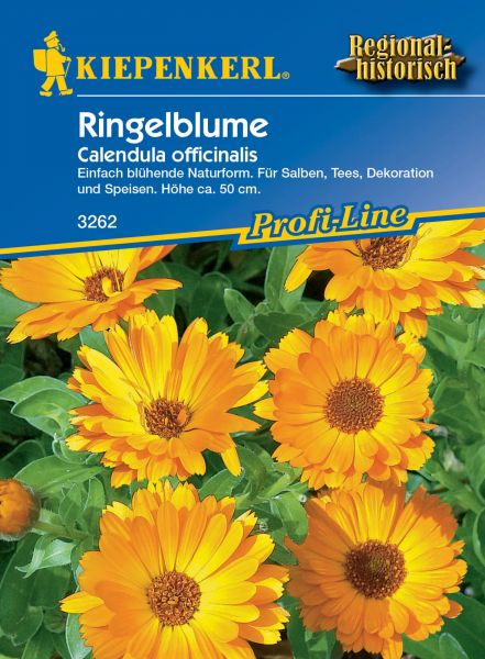 Kiepenkerl Ringelblume - Calendula officinalis
