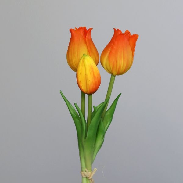 Tulpenbund orange-yellow