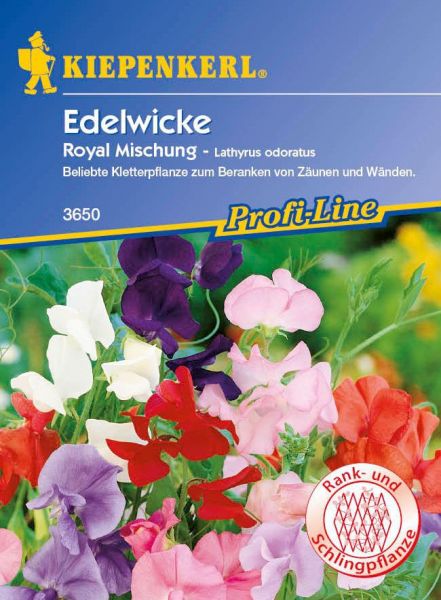 Kiepenkerl Edelwicke - Royal Mischung - Lathyrus odoratus