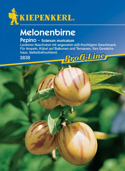 Kiepenkerl Melonenbirne Pepino - Solanum muricatum