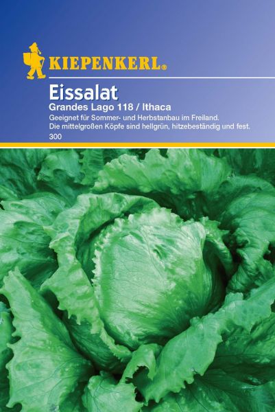 Kiepenkerl Salat (Eissalat) Grandes Lagos 118