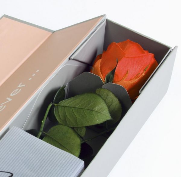 Trendline Haltbare orange Rose in einer sehr eleganten Box (55 cm)
