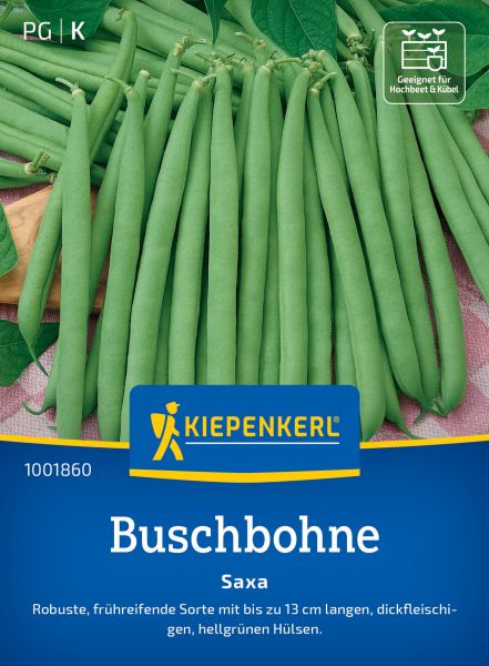 Kiepenkerl Buschbohnensamen Saxa