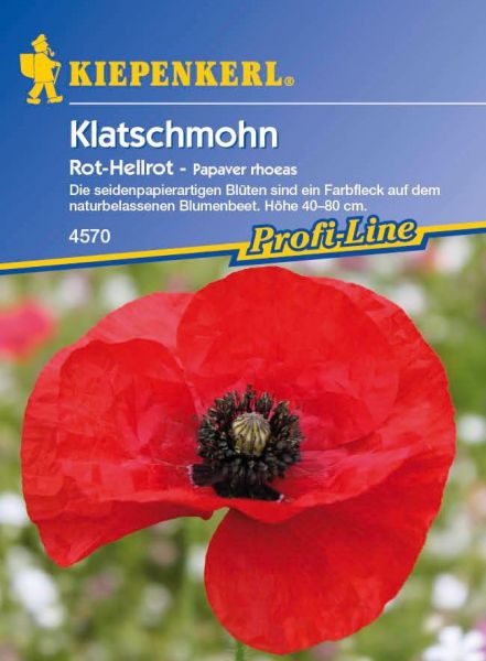 Kiepenkerl Klatschmohn Rot-Hellrot - Papaver rhoeas