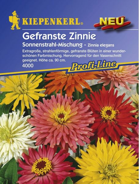 Kiepenkerl Zinnie Sonnenstrahl-Mischung - Zinnia elegans
