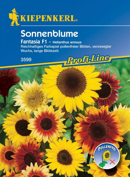 Kiepenkerl Sonnenblume Fantasia F1 - Helianthus annuus