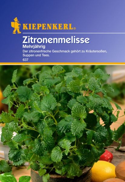 Kiepenkerl Zitronenmelisse Mehrjährig