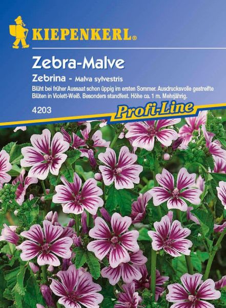 Kiepenkerl Zebra-Malve Zebrina - Malva sylvestris