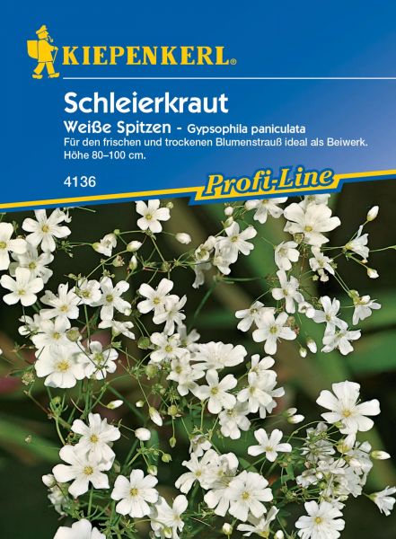 Kiepenkerl Schleierkraut - Weiße Spitzen - Gypsophila paniculata