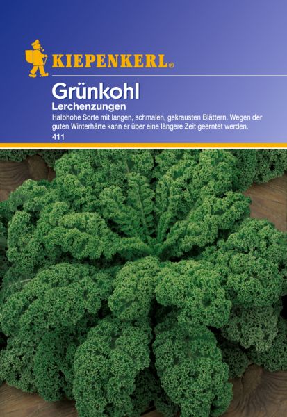 Kiepenkerl Grünkohl Lerchenzungen - Brassica oleracea var. sabellica