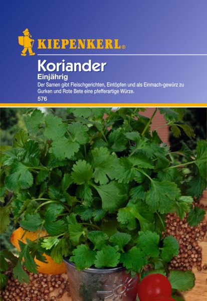Kiepenkerl Koriander Einjährig