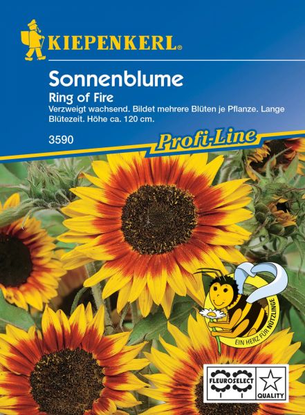 Kiepenkerl Sonnenblume - Ring of Fire