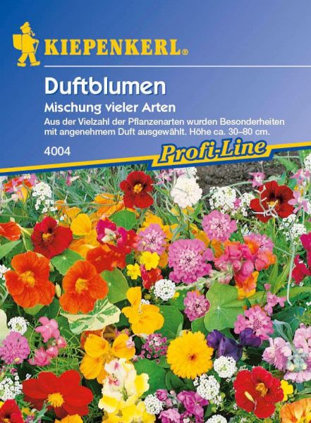 Kiepenkerl Duftblumen Mischung vieler Arten