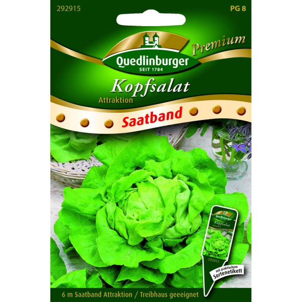 Quedlinburger Saatgut Kopfsalat Attraktion - 292915