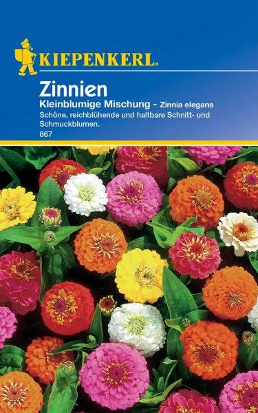 Kiepenkerl Zinnien Kleinblumige Mischung - Zinnia elegans